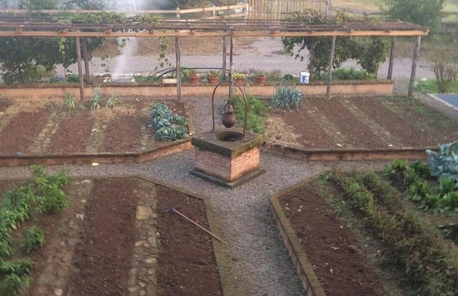 Corte Breda Agriturismo Bed & Breakfast - Foto 58