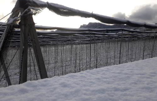 Casa Rural Rebost - Foto 39