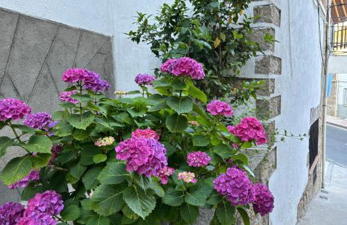 Bodeguita del Tiétar - Foto 39