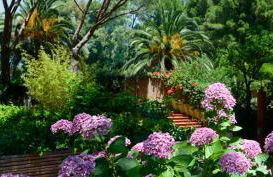 Abbaechelu - Foto 18