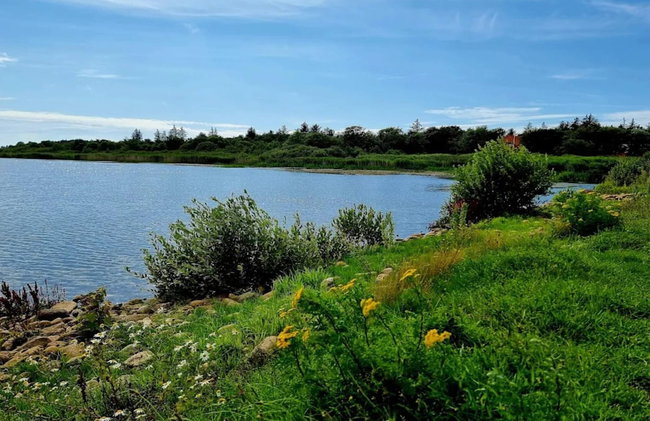 4 Star Holiday Home in Henne - Foto 39