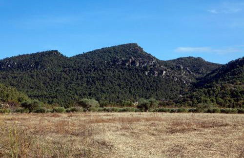 Casa Maro Prenafeta - Foto 15