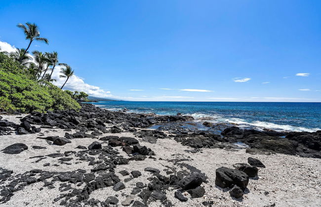 Kona Isle B31 - Foto 30