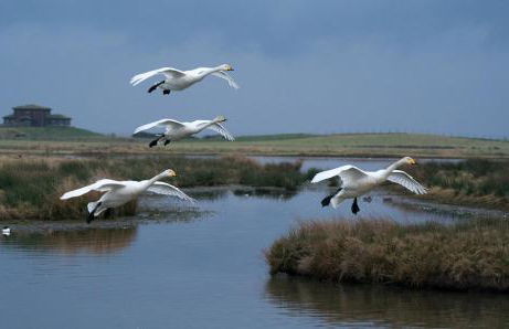 Country cottage with garden, views & games room - Foto 11