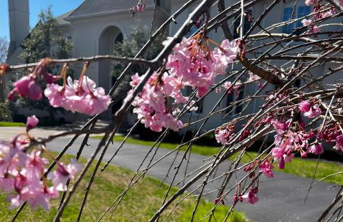 Hygge, Upscale & Relaxing Luxury - Foto 44