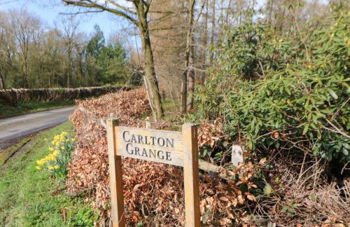 Bracken Fern - Photo 21