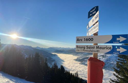 Les ARCS 1600 - SKI AUX PIEDS - MAGNIFIQUE DUPLEX 12 PERSONNES - Foto 44