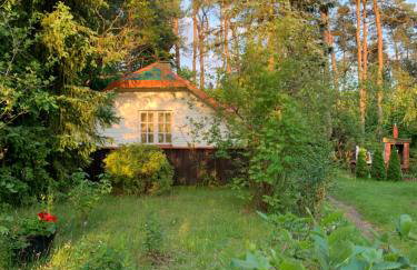 Holiday Villa Żuromino - Foto 48