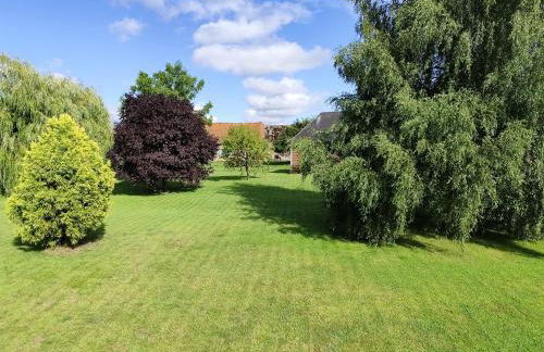 Beau soleil - Foto 3