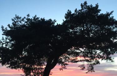 wietrznie-wichrowe wzgórze - Foto 47