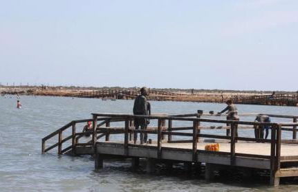 40m2 Cozy DON TOMAS 100m beach - Foto 6