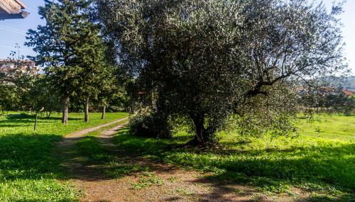 Villa Bel Giardino - Foto 4, Garden