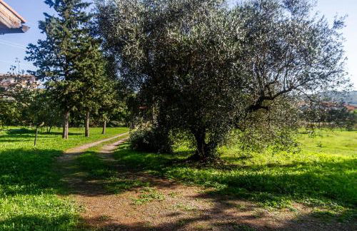 Villa Bel Giardino - Foto 4