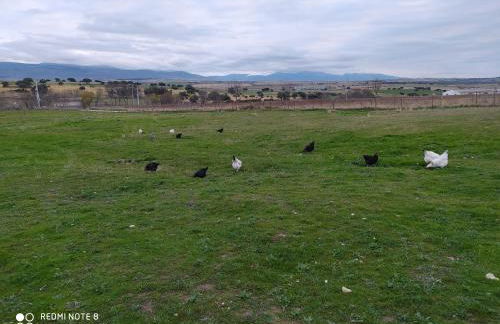 Balcon De Nut I y II - Foto 22