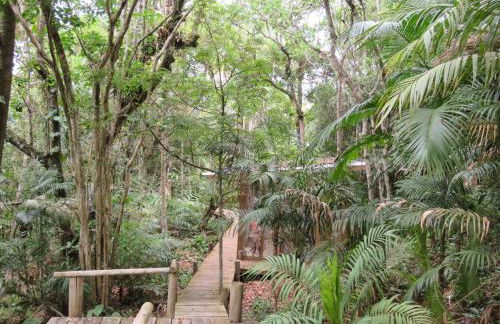 Pousada Águas de Ibiraquera Suite Master - Foto 28