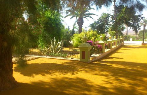 Ala Mexicana - Foto 6