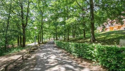 Studio Les Epicéas - Foto 4, Garden