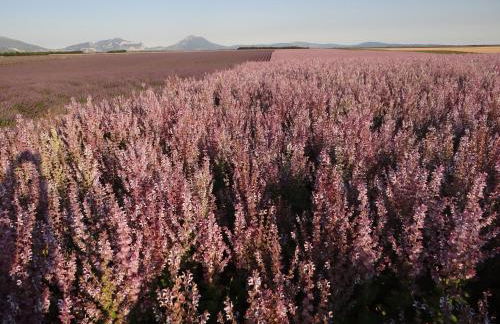 Zofia appartements - Duplex avec terrasse #2 - Foto 25