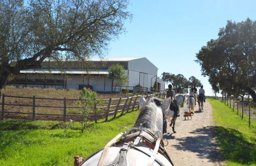 Monte da Boavista - Country family house - Foto 78