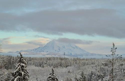 Stunning Mt Rainier Views!tahoma Ridge Cottage - Foto 53