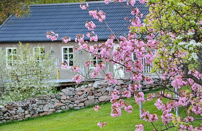 Holiday Home in Varekil - Foto 20