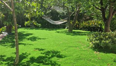 Il Giardino dei Gigli - Photo 1, Garden