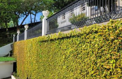 Quinta da Xistosa - Photo 23