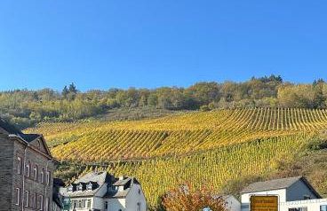 Grünberg House - Foto 66