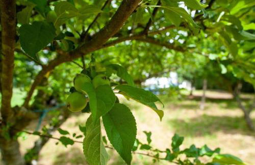 Casa Rural Fidalgo - Foto 63