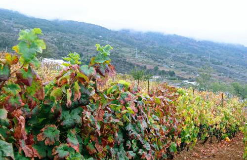 Live la Victoria Carril - Casa acogedora y familiar con terraza completa - Foto 62