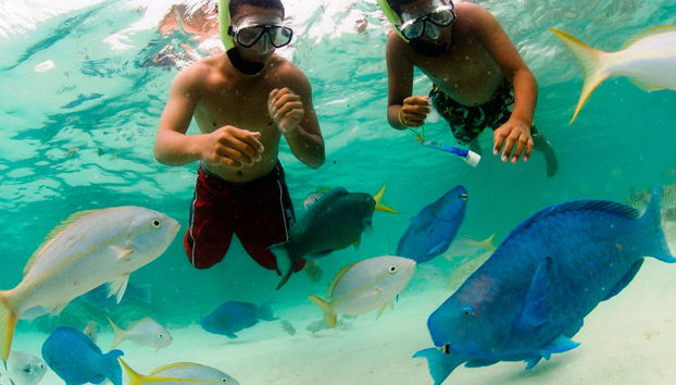 Palm Pleasure Katamaran Schnorchelabenteuer - Foto 5