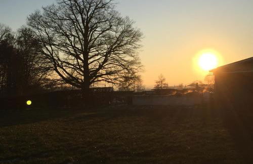 Reiterhof Zwei Linden - Foto 14