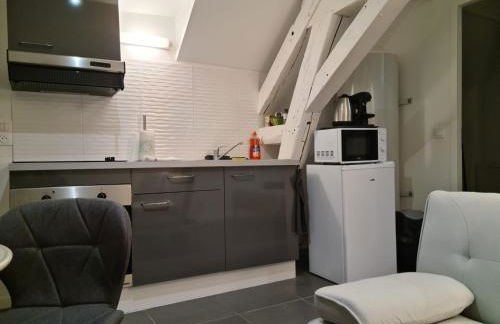 Beaugency-1 sur la route des Châteaux - Photo 13