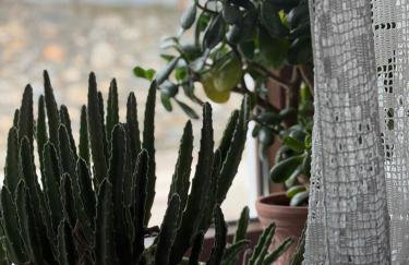 Pefkas Hill - Foto 20