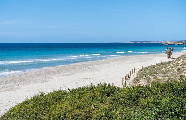 Apartamentos Seth Mestral y Llebeig - Foto 54