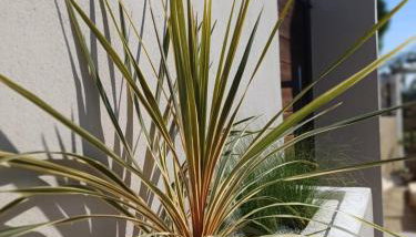 Abelaki Holiday Home - Foto 3