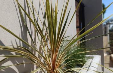 Abelaki Holiday Home - Foto 3