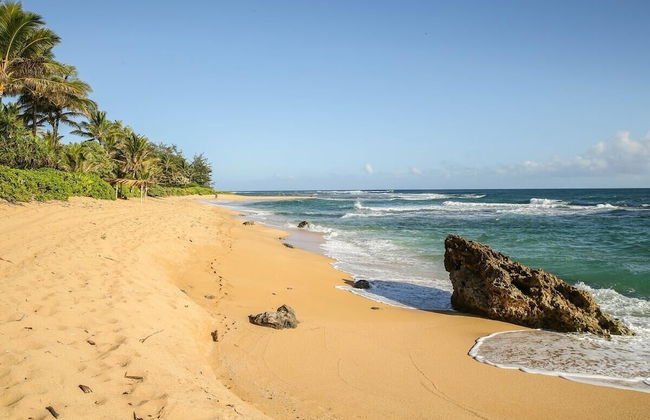 Makana Akua Haena 2 Bedroom Home by RedAwning - Foto 21