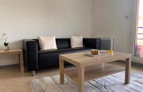 Charming one bedroom apartment, - pres des commerces et tram FIBRE wifi, Airbus MEET super location - Foto 7