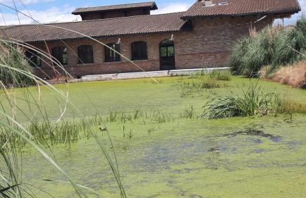 MUSEO GAR-Hotel - Foto 26