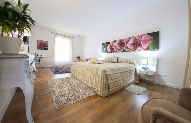 Operetta House - Foto 12