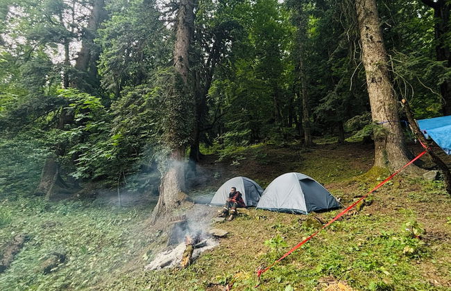 Cove The Glass House - Foto 45