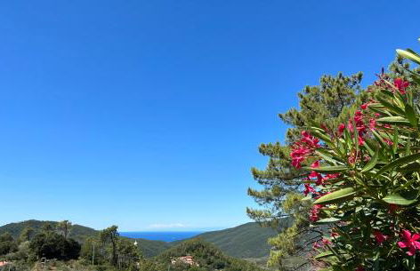 Luxury Easy Living in Framura - Foto 59