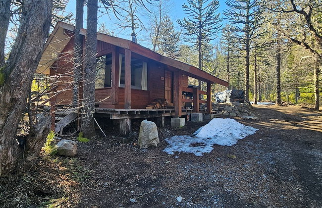 Oceana Suites Corralco - Photo 44