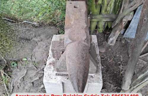 Agroturystyka Przy Rajskim Sadzie - Foto 37