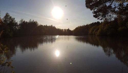 Ferienwohnung Vogelsang - Foto 4
