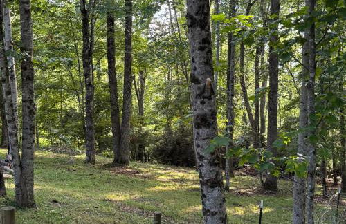 A Tiny Slice of Heaven - Foto 11