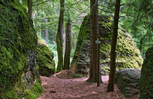 Cozy Holiday Home in Großbreitenbach near Schwarza Valley - Foto 31