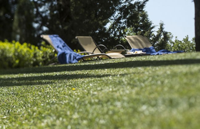 Luxury Chianti Between Grapes - Foto 26