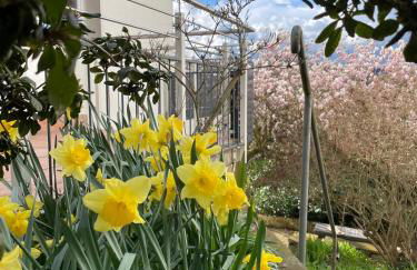 Ferienhaus Chalet Andante - Foto 9